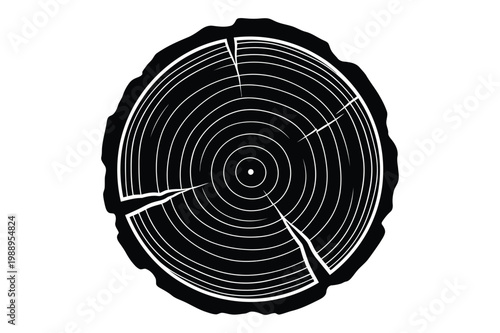 Detailed tree trunk cross section with annual growth rings vector illustration