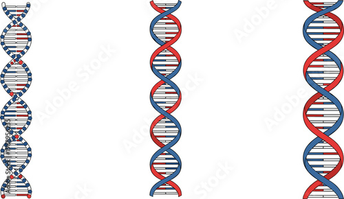 DNA Helix Icon Set Featuring Double-Helix Structure in Red and Blue for Science, Genetics, and Biotechnology Designs