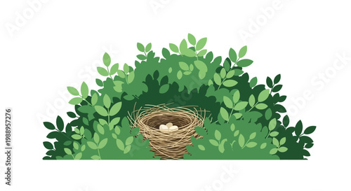 Birds Nest with Eggs.