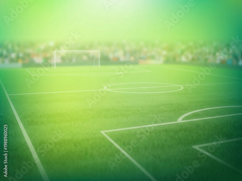 A green soccer field with white lines and a goal in the background