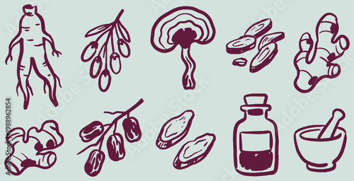 Collection of hand-drawn illustrations of medicinal herbs and roots, including ginseng, goji berries, reishi mushroom, ginger, and dates, with a mortar and pestle and a bottle.