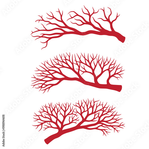 Red branching tree silhouettes on white background, three vascular structures branches