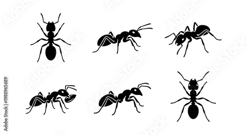 Black ant silhouettes set, 6 insect vector icons, crawling ants for pest control design
