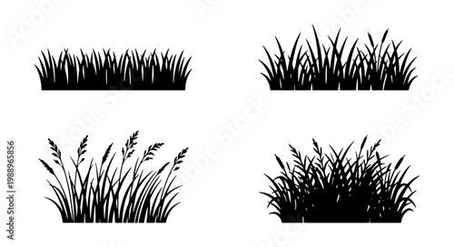 Black grass silhouette set, 4 meadow plant vector icons, wild lawn turf borders
