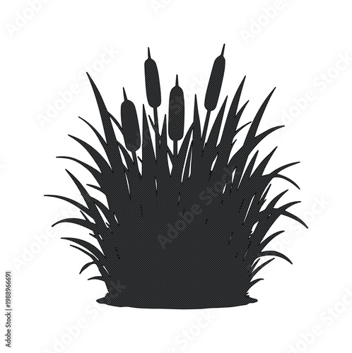 Cattail and Grass Silhouette Vector Illustration isolated PNG with Transparent Background