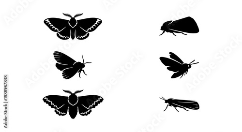 Black moth silhouettes set, 6 insect vector icons, nocturnal butterfly wing shapes