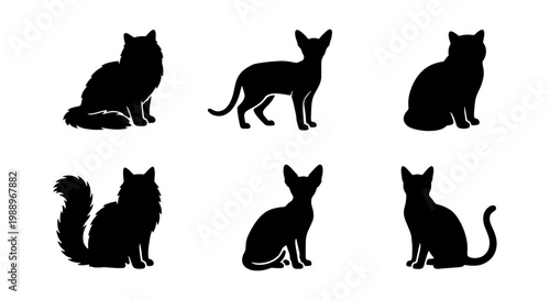 Black cat silhouettes set, 6 feline vector icons, domestic pet animal shapes for logos
