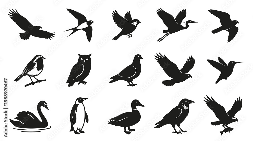 Fototapeta premium Nature Wildlife Bird Silhouettes Icon Set - Black and White Glyph Vector Collection