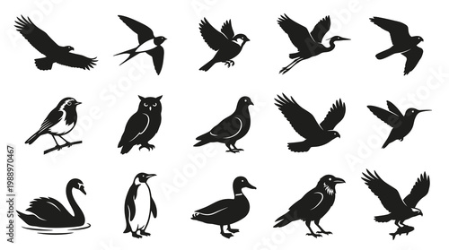 Nature Wildlife Bird Silhouettes Icon Set - Black and White Glyph Vector Collection