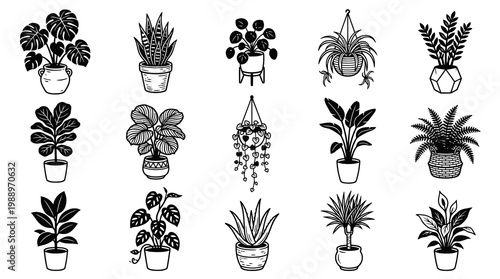 Black and White Line Art Collection of Various Potted Houseplants