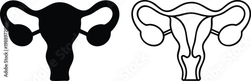 Minimalist Female Reproductive System and Uterus Icon Set.