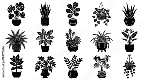 Black and White Glyph Icons of Various Potted Houseplants and Hanging Plants