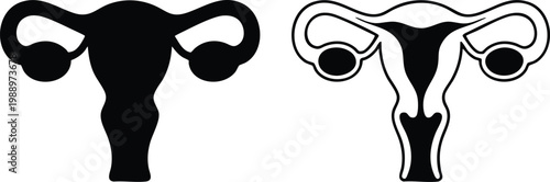 Professional Medical Illustration Assets for Fertility and Wellness, Black and White Uterus Silhouette with Fallopian Tube and Ovary Details.