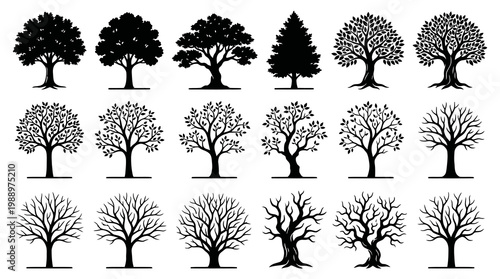Nature Tree Silhouettes Vector Set - Diverse Black  White Park  Forest Icon Collection