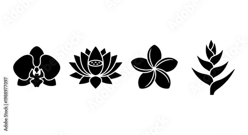 Tropical flower icons set, black floral silhouettes, 4 exotic bloom vector elements
