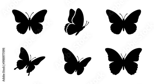 Butterfly silhouette collection, 6 black insect icons, flying butterfly vector set