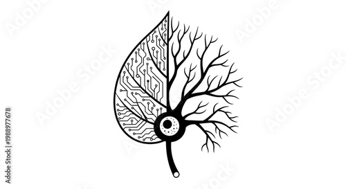 Detailed illustration of human lung anatomy.