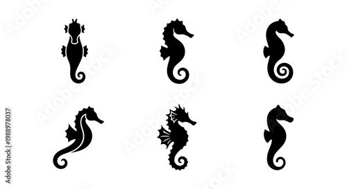 Seahorse silhouette collection, 6 black sea horse icons, marine life vector set