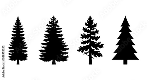 Pine tree silhouettes, 4 evergreen conifer icons, black spruce forest vector set