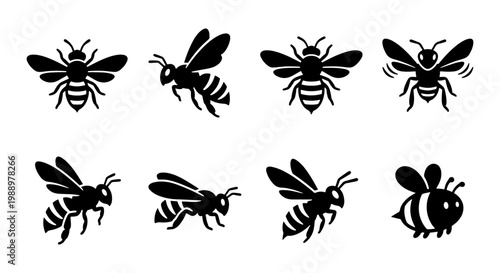 Honey bee icon set, black bumblebee silhouettes, 8 insect vector illustrations