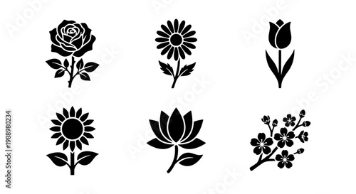 Minimalist flower icon set, black floral vector silhouettes, 6 botanical plant symbols