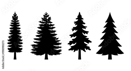 Pine tree silhouette collection, 4 evergreen forest vector icons, conifer wood shapes