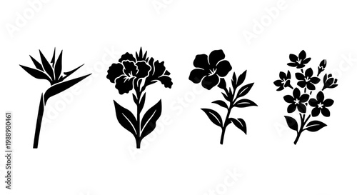 Tropical flower silhouettes, black floral vector set, botanical garden plant icons