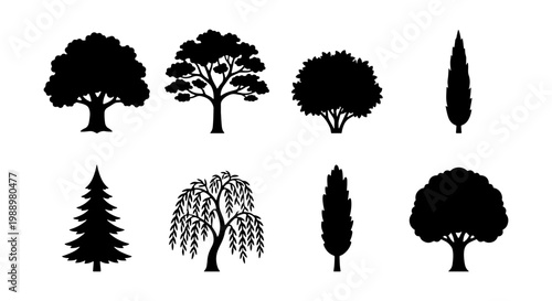 Black tree silhouettes set, 8 nature vector icons, forest and garden plant shapes