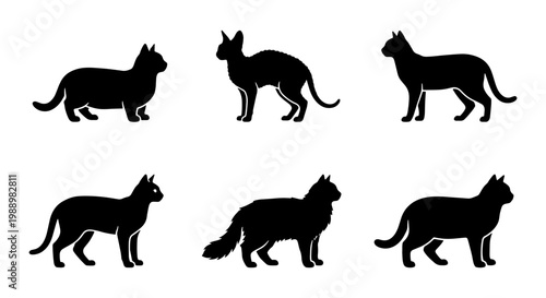 Black cat silhouette set, 6 feline breed vector icons, standing pet animal silhouettes