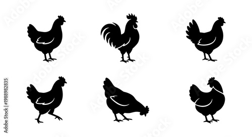 Chicken silhouette vector set, rooster and hen farm animal icons, 6 poultry elements