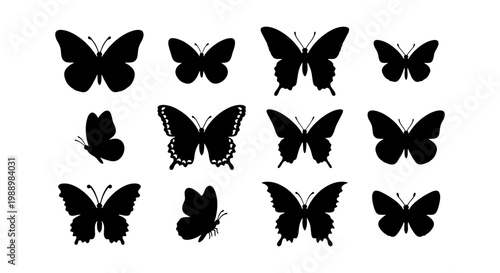 Butterfly silhouette collection, 12 black insect icons, nature vector set for design
