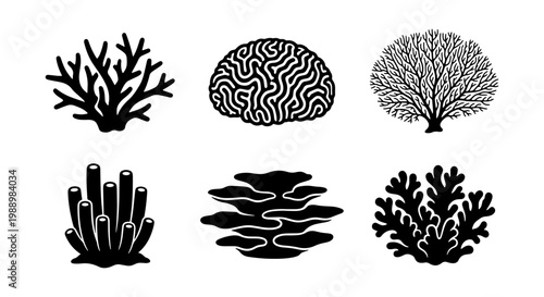 Black coral reef silhouettes, 6 underwater sea plant icons, marine life vector set