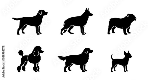 Dog breed silhouette vector set, 6 black canine icons, pet shop animal profile graphics