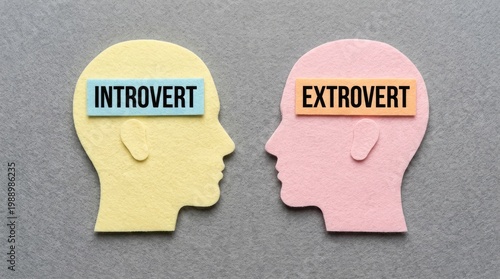 Colorful felt head silhouettes symbolize introvert and extrovert personality traits on a grey background