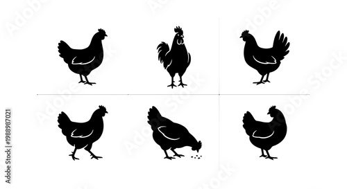 Black chicken silhouettes set, rustic farm poultry vector icons, 6 rooster and hen bird shapes, organic livestock agriculture graphics