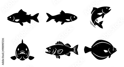 Black fish silhouette vector set, 6 aquatic animal icons for fishing and seafood branding, minimalist river and ocean fish illustrations