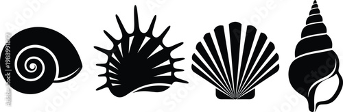 Collection of seashell silhouette illustration, marine shell artwork, ocean nature design concept, black and white coastal vector template set