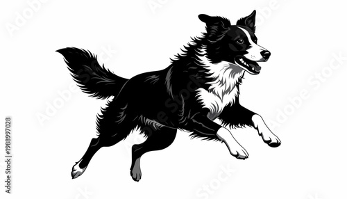 Sleek and dynamic black and white dog graphic, capturing the energetic motion of a running agile canine