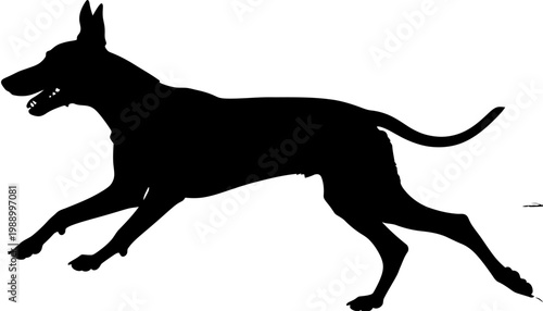 Dynamic silhouette of a running canine, showcasing its agile movement and athletic form