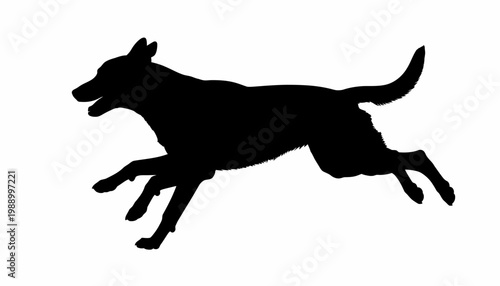 Silhouette of a happy, energetic dog running at full speed with its tail wagging joyfully
