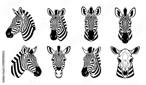 Six unique zebra faces cute icon set black white vector