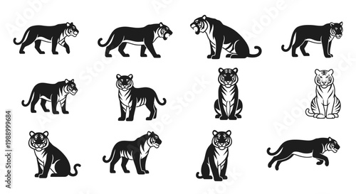 Collection of Diverse Tiger Poses and Illustrations Representing Power and Grace