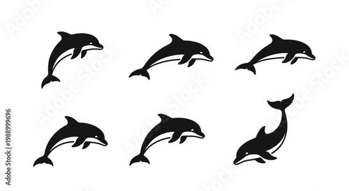 Collection of six jumping dolphins in silhouette, displayed in a grid format, with each dolphin exhibiting a unique pose as it leaps through the water