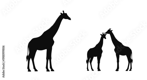 Elegant black silhouettes of majestic giraffes, featuring an adult and two young ones engaged in a tender moment of connection, symbolizing family bonds and the beauty of wildlife