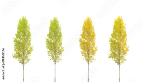 Four trees with varying shades of green and yellow leaves against a white background