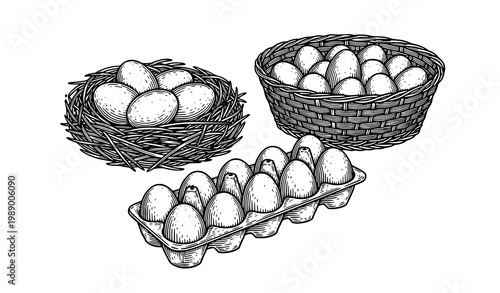 A black and white illustration of eggs in a nest and cartons