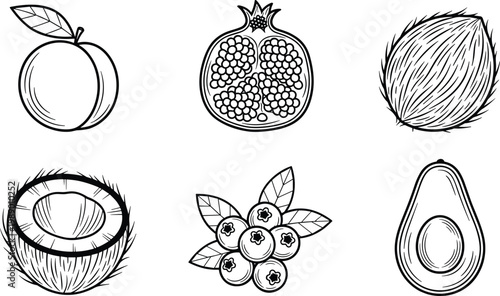 Collection fruits drawings on transparent background.
