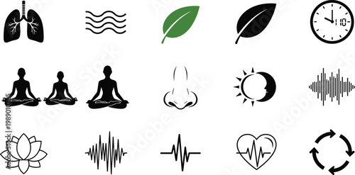 Health and wellness icons on transparent background.