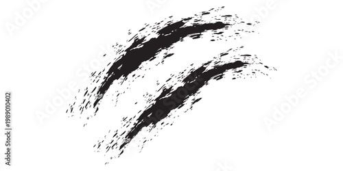 Abstract Black Grunge Claw Marks or Scratches on White Background.