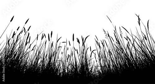 Grass silhouette border with wind-swept black blades and minimal nature background for wallpaper, banner, or logo use
